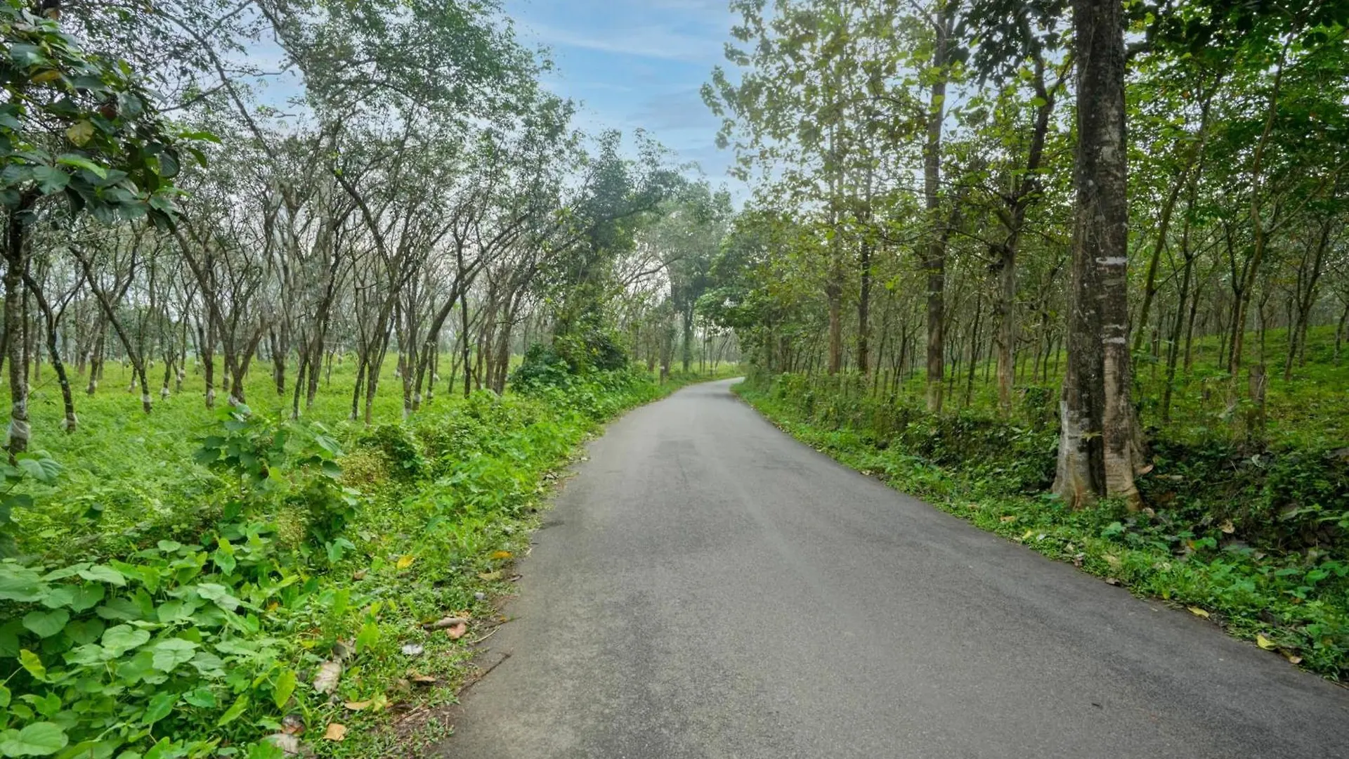Palette Resorts- Tapovan Green County Thattakād 5*,